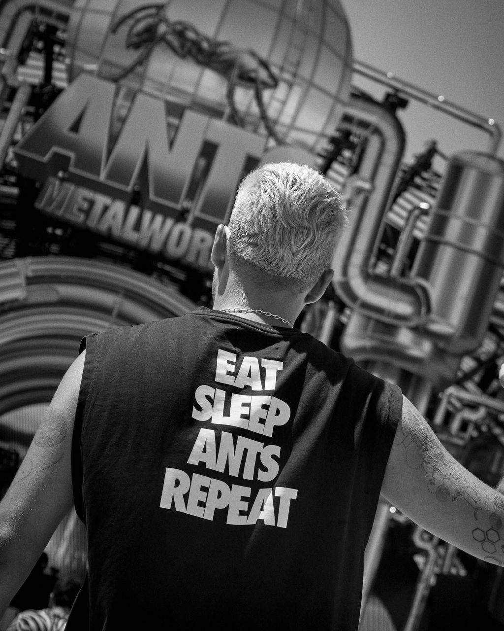 ANTS: Community Driven Culture