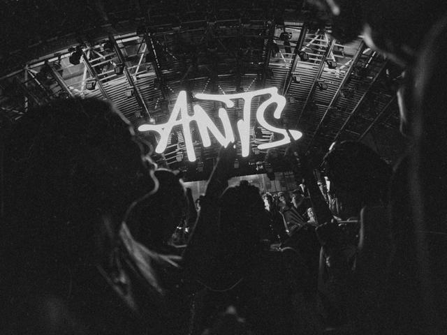 ANTS ON TOUR: Amsterdam announced
